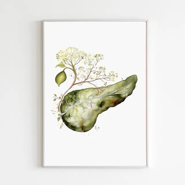 THE PANCREAS: YOUR BODY’S SECRET MULTITASKER 🤝
⋄ ⋄ ⋄ ⋄ ⋄ ⋄ ⋄ ⋄ ⋄ ⋄ ⋄ ⋄ ⋄ ⋄ ⋄ ⋄ ⋄ ⋄ ⋄ ⋄ ⋄

Tucked away behind your stomach, you rarely think about it, and yet the pancreas is unobtrusively involved in some of the most important things happening inside your body.

Here’s something you might not know…
It has TWO completely different jobs.🙌🏽

The pancreas is both an exocrine organ and an endocrine organ - meaning it works on digestion AND hormones.

▫️JOB #1: It helps you digest your food
The pancreas produces powerful digestive enzymes that are released into your small intestine to help break down fats, proteins and carbohydrates.
So that meal you just ate? Your pancreas is part of the reason your body can actually use it. 🤝
But then comes its second job…

▫️JOB #2: It helps control your blood sugar
Special cells in the pancreas produce hormones including insulin and glucagon.
Insulin helps lower blood glucose by helping your cells take glucose out of the bloodstream.
Glucagon does almost the opposite - it signals the liver to release stored glucose when your blood sugar drops.

Together, they help keep your blood glucose within a remarkably narrow range.

And here’s the part we find really fascinating…
Your pancreas is constantly sensing what’s happening in your body and adjusting its output accordingly.

You eat → blood glucose rises → insulin responds.

You haven’t eaten for hours → blood glucose falls → glucagon responds.
All without you consciously thinking about it.

It’s essentially running a tiny biochemical control room inside you, 24 hours a day.

And when this system becomes disrupted, the consequences can be significant - from problems digesting food to conditions such as diabetes and pancreatitis.🙏

So next time someone asks you what your pancreas does, you can tell them:
“It helps me digest my food AND keeps my blood sugar in check.”😉

Not bad for an organ most of us barely think about. 👀

THE HUMAN BODY IS EXTRAORDINARY.🙌🏽🤍
.
.
.
#huttonmedical #humanbody #pancreas